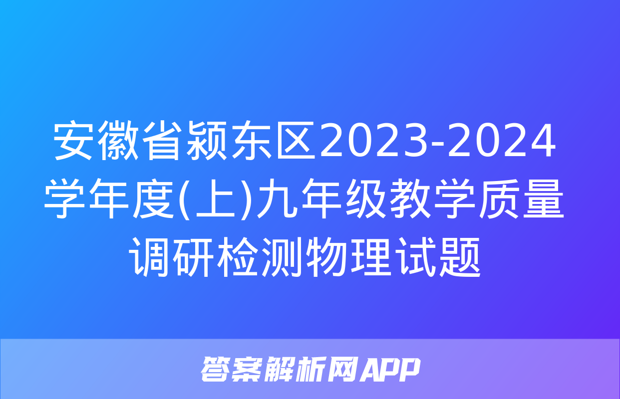 安徽省颍东区2023-2024学年度(上)九年级教学质量调研检测物理试题