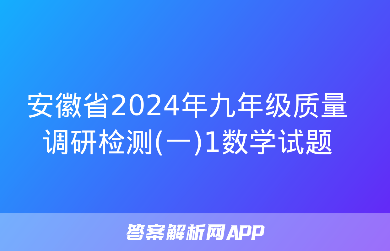 安徽省2024年九年级质量调研检测(一)1数学试题