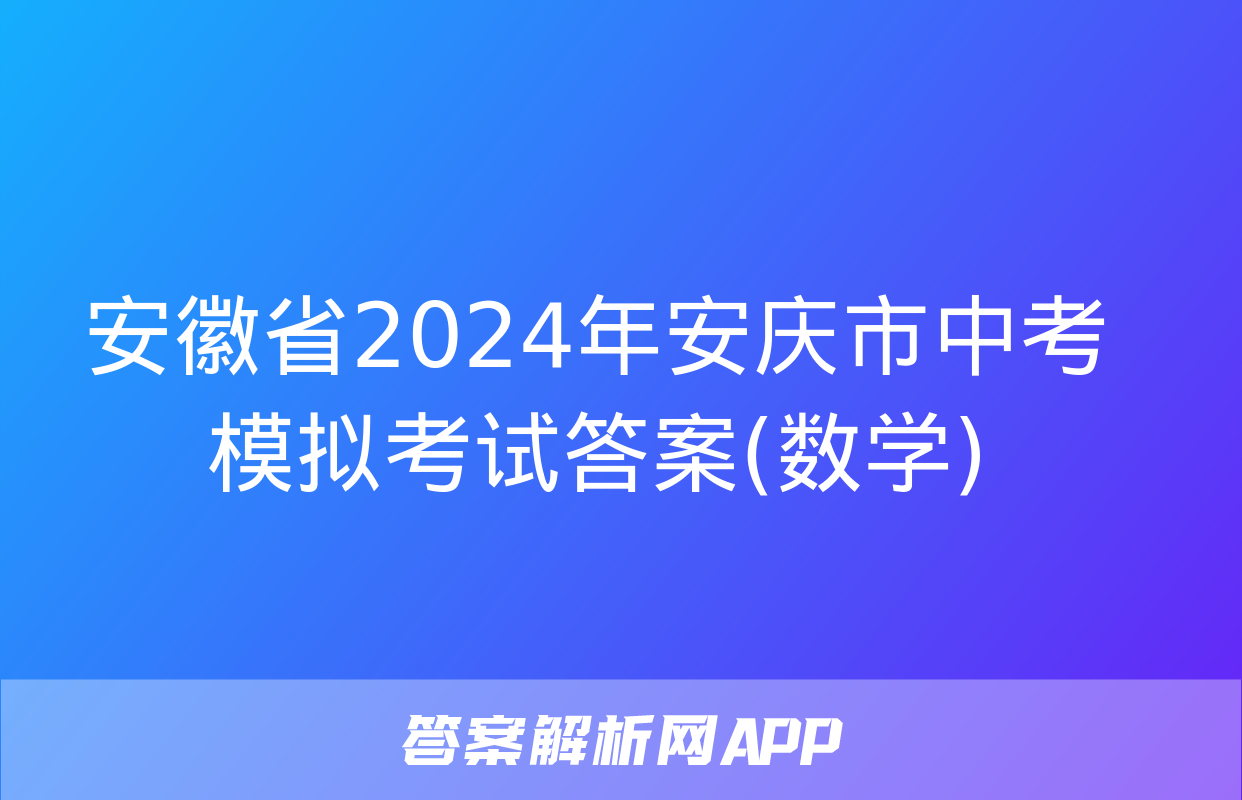 安徽省2024年安庆市中考模拟考试答案(数学)