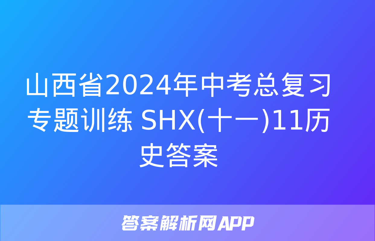 山西省2024年中考总复习专题训练 SHX(十一)11历史答案