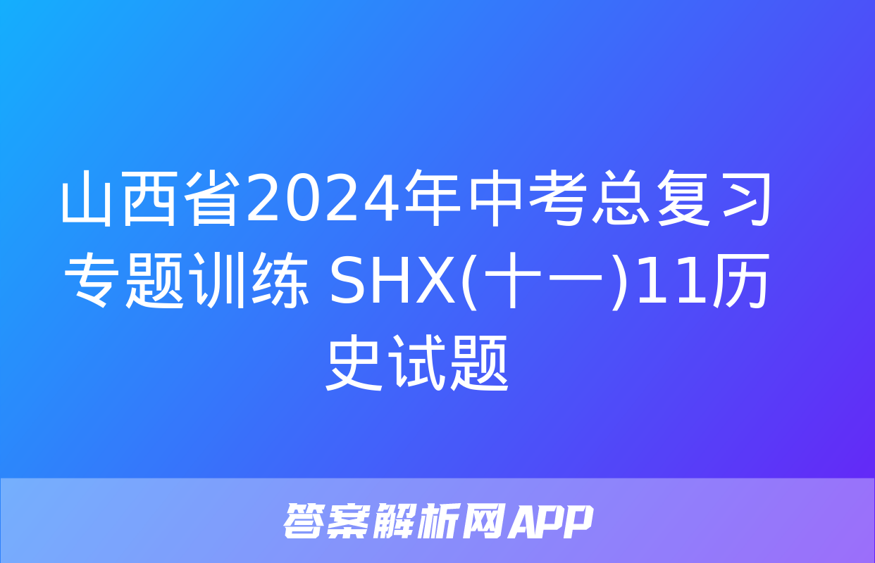 山西省2024年中考总复习专题训练 SHX(十一)11历史试题