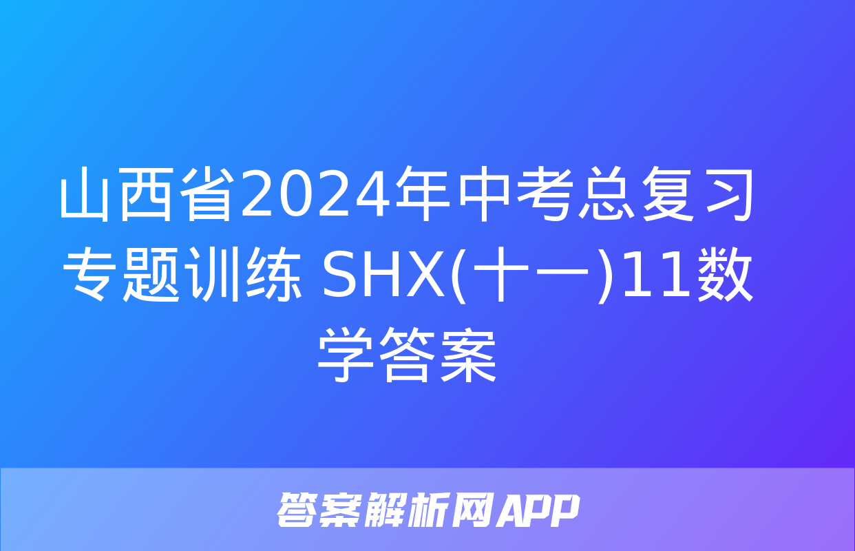 山西省2024年中考总复习专题训练 SHX(十一)11数学答案