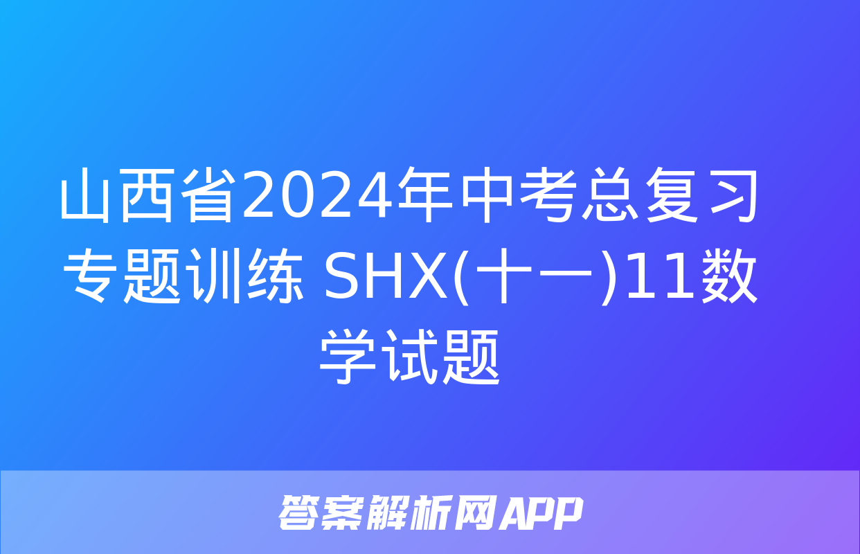 山西省2024年中考总复习专题训练 SHX(十一)11数学试题