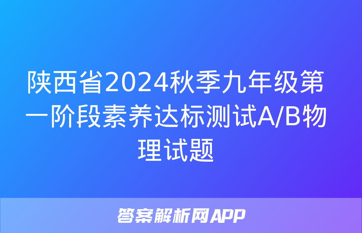 陕西省2024秋季九年级第一阶段素养达标测试A/B物理试题