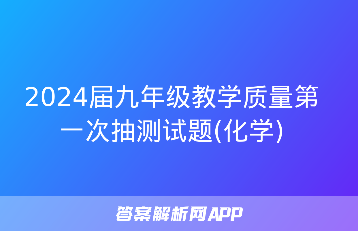 2024届九年级教学质量第一次抽测试题(化学)