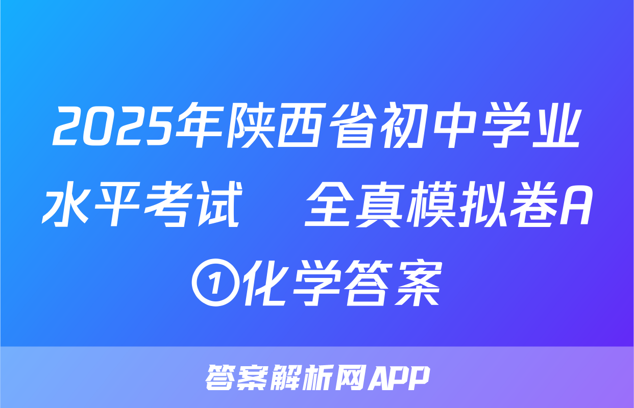 2025年陕西省初中学业水平考试•全真模拟卷A①化学答案